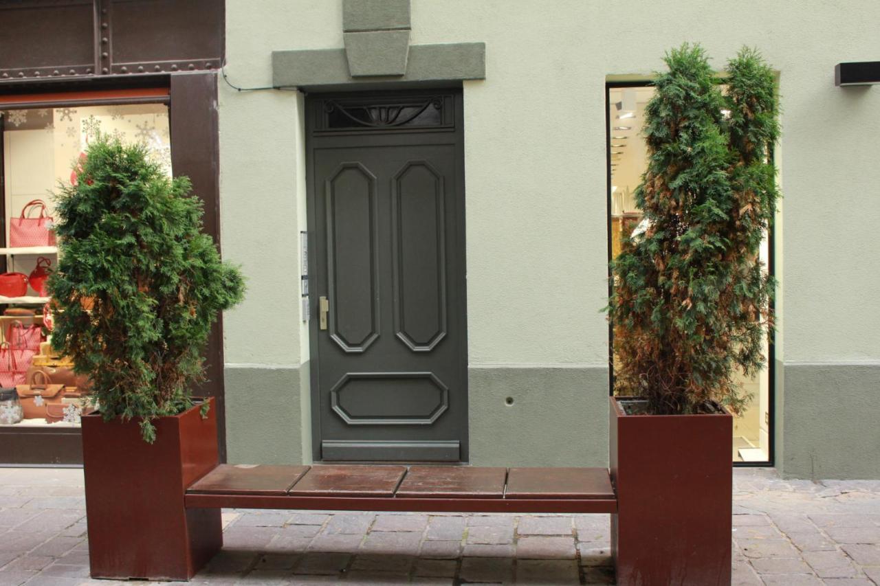 101 Cour De La Bastide Apartment Каркасон Екстериор снимка